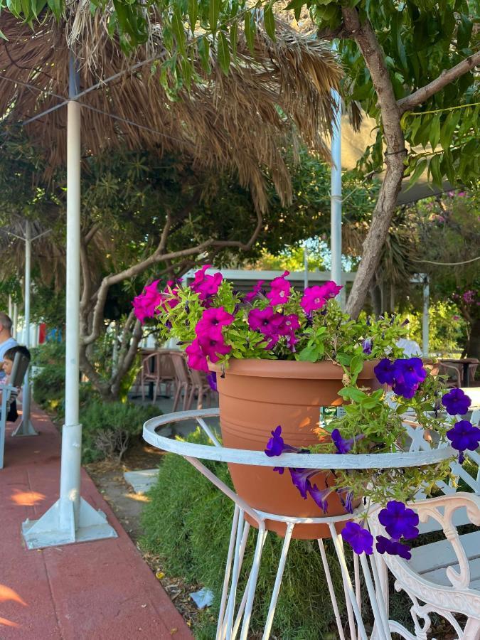 Theodorou Beach Hotel Apartments ซาลิดี ภายนอก รูปภาพ