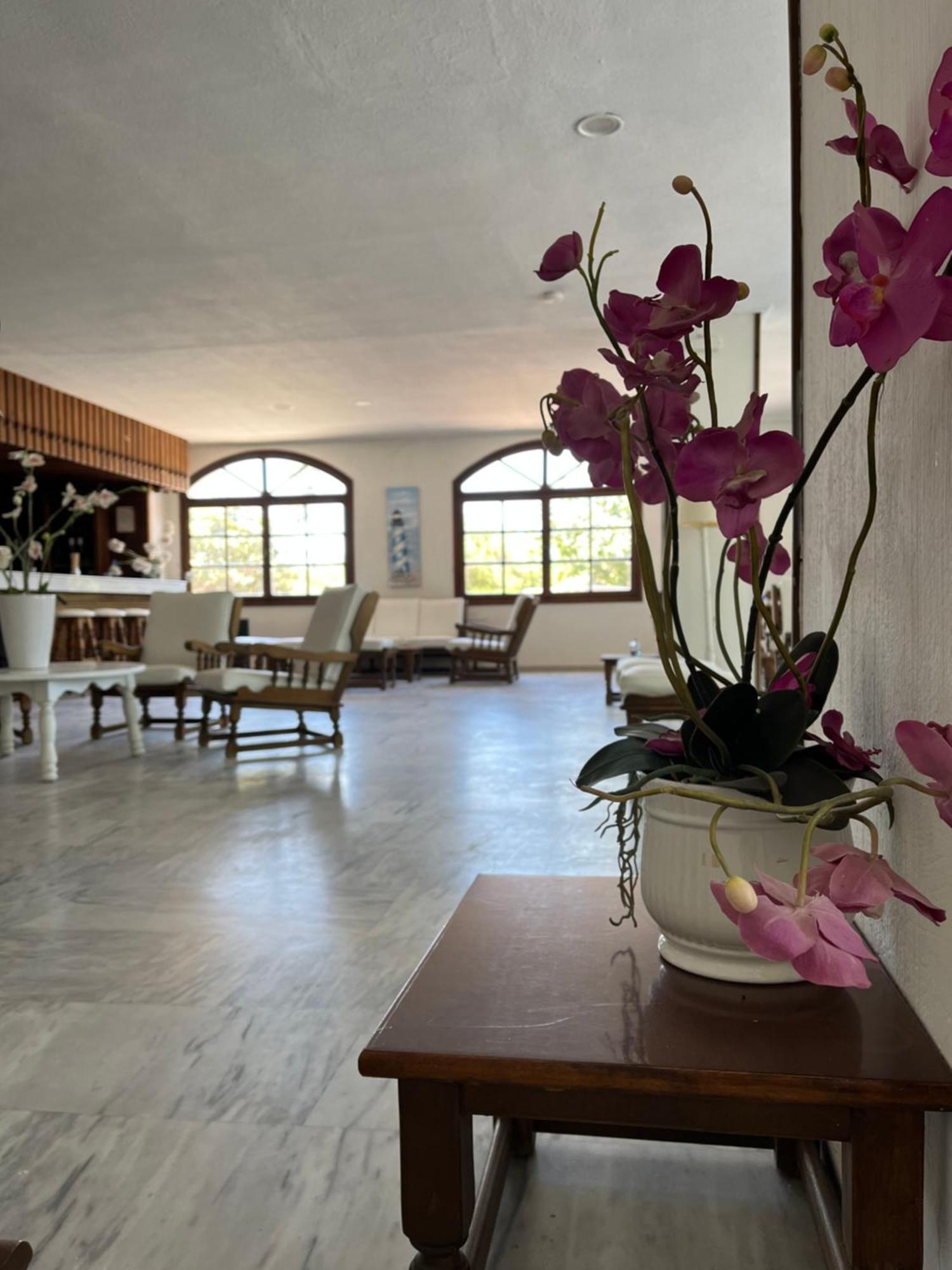 Theodorou Beach Hotel Apartments ซาลิดี ภายนอก รูปภาพ